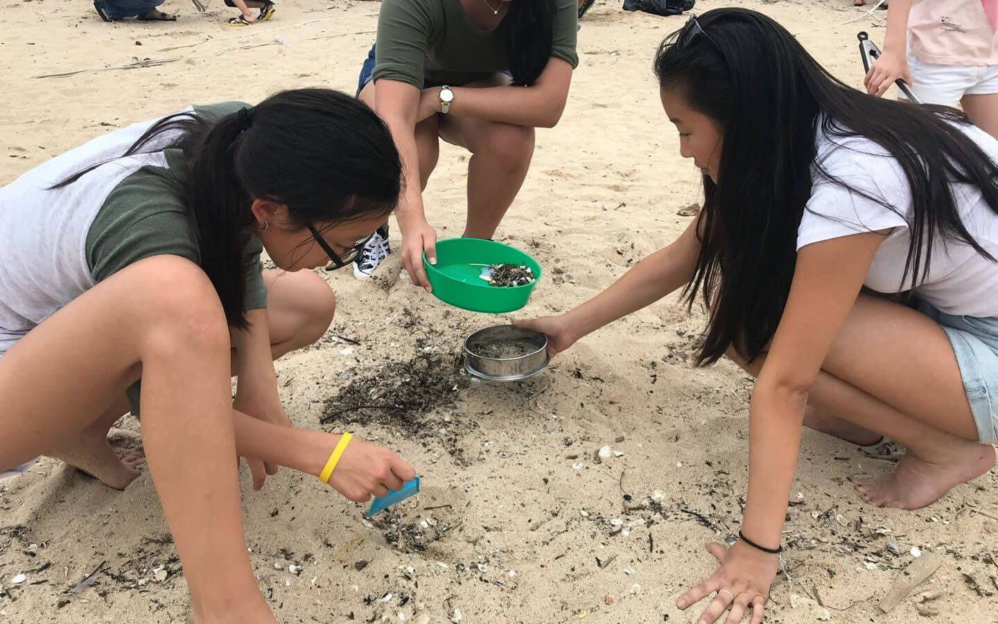 beach cleanup